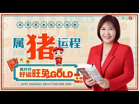 豬屬五行|生肖豬五行屬什麼，運勢如何？